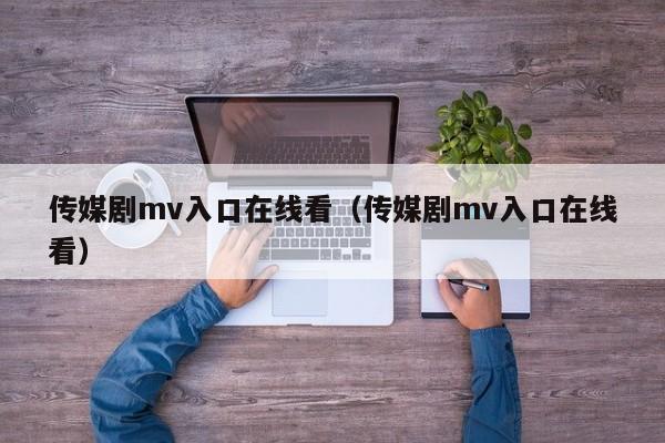 传媒剧mv入口在线看（传媒剧mv入口在线看）